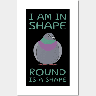 Round Is A Shape Pigeon Posters and Art